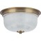 Progress Lighting Archie Collection Two-Light 12-3/8" Close-to-Ceiling P3740-163 - alternate 1